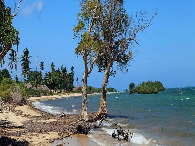 تصویر گینه بیسائو؛ کشور ساحلی در غرب آفریقا
